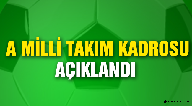 A Milli Futbol Takımı'nın aday kadrosu açıklandı