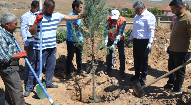 'Yeşil Bünyan' İçin Ağaçlandırma Çalışmaları!