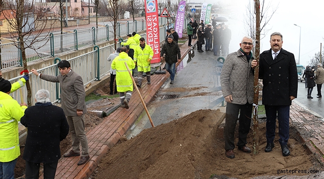 Melikgazi Meclis Üyeleri Ağaç Dikiminde Buluştu