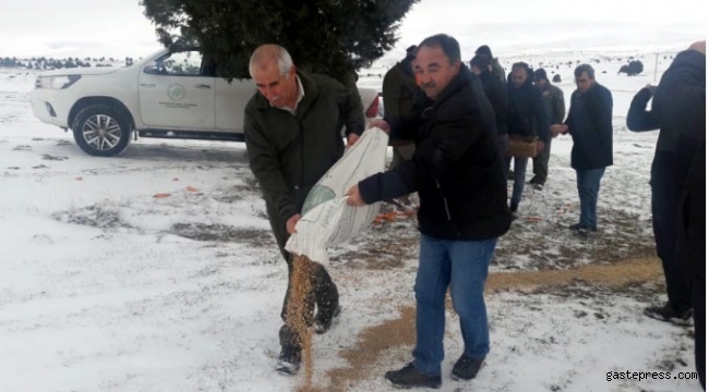 Kayseri'nin Pınarbaşı ilçesinde yaban hayatı için yemleme yapıldı