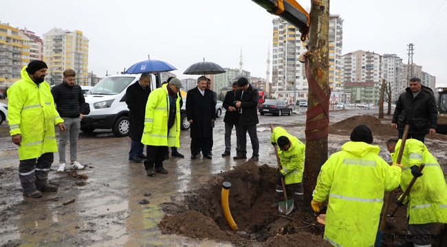 Melikgazi Belediyesi'nden Türkiye’de Ağaç Dikiminde Bir İlk!