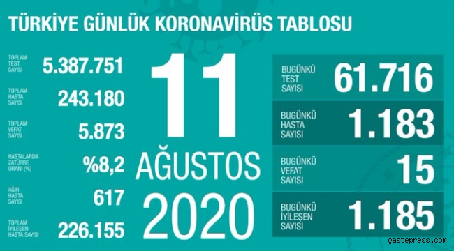 11 Ağustos 2020 Türkiye'de Son Durum!