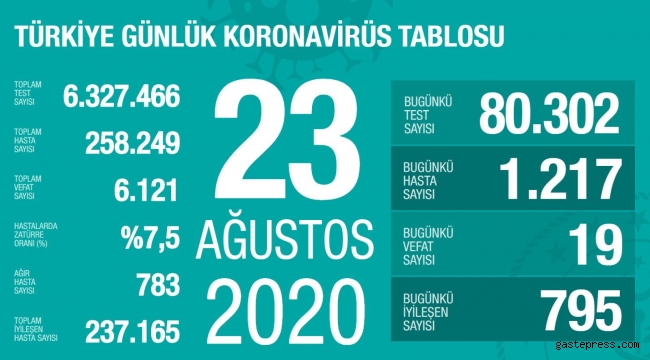 23 Ağustos 2020 Türkiye'de Koronavirüs'deki Son Durum Açıklandı!