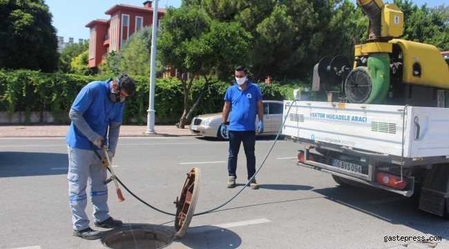 Antalya Büyükşehir, Kemer’de yeşil alanların bakımını yapıyor