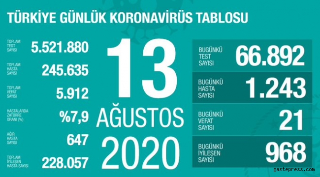 Türkiye'deki koronavirüs vaka ve ölü sayısında son durum (13 Ağustos Perşembe)