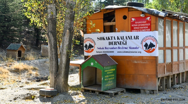 Ankara Büyükşehir'den Patipark'a Lojistik Destek!