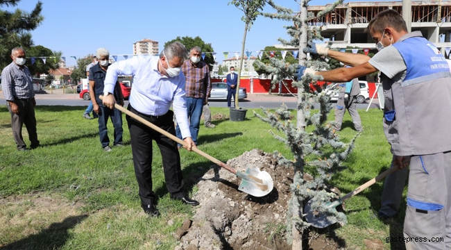 Kayseri Melikgazi'de Başkan Dr. Mustafa Palancıoğlu "Fidan değil, Ağaç dikiyoruz"