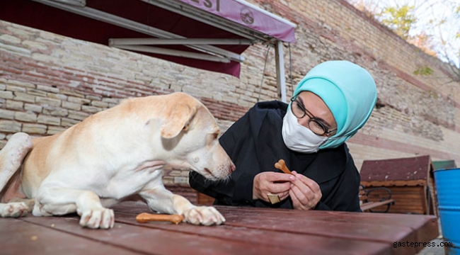 Emine Erdoğan, engelli köpek 'Leblebi'yi sahiplendi!