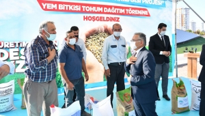 Kayseri Büyükşehir 414 Ton Yem Bitkisi Tohumu Dağıttı!