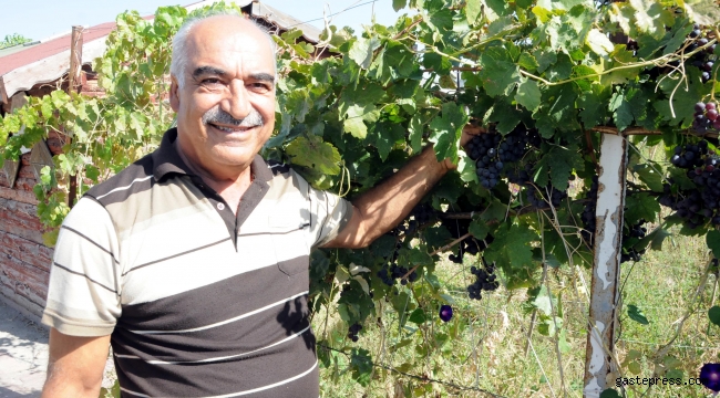 Salgın günlerini hobi bahçelerinde geçiriyorlar