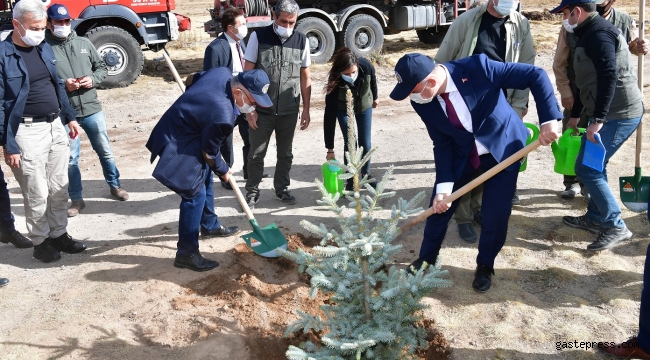 Vali Günaydın ve Başkan Büyükkılıç Erciyes'te Fidan Dikti!