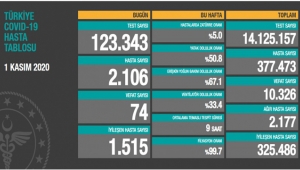 1 Kasım koronavirüs tablosu! Hasta, ölü sayısı ve son durum açıklandı!