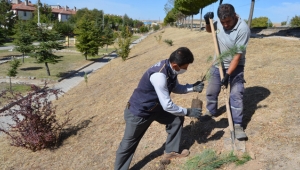 Kayseri Bünyan Belediyesi Parkları Yenilemeye Devam Ediyor!