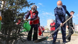 Kayseri Kocasinan'da Her Yıl 100 Bin Ağaç Toprakla Buluşuyor!