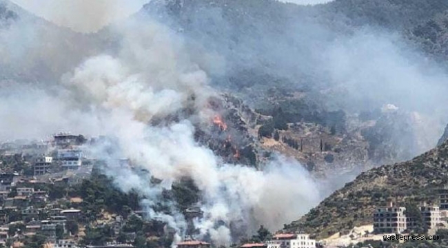 Hatay'da orman yangını!