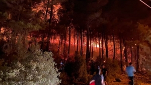 Yangınlara bir yenisi daha eklendi. Muğla'nın Fethiye ilçesinde orman yangını başladı!