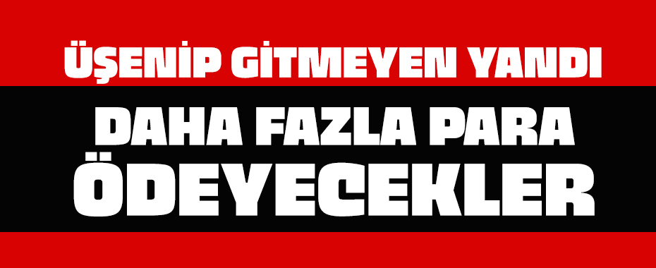 Üşenip gitmeyen yandı! 15 TL yerine 333 katı daha fazla para ödeyecekler...