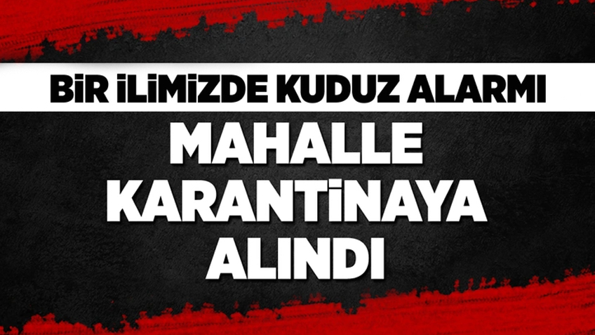 Hatay'da bir mahalle kuduz nedeniyle karantinaya alındı!