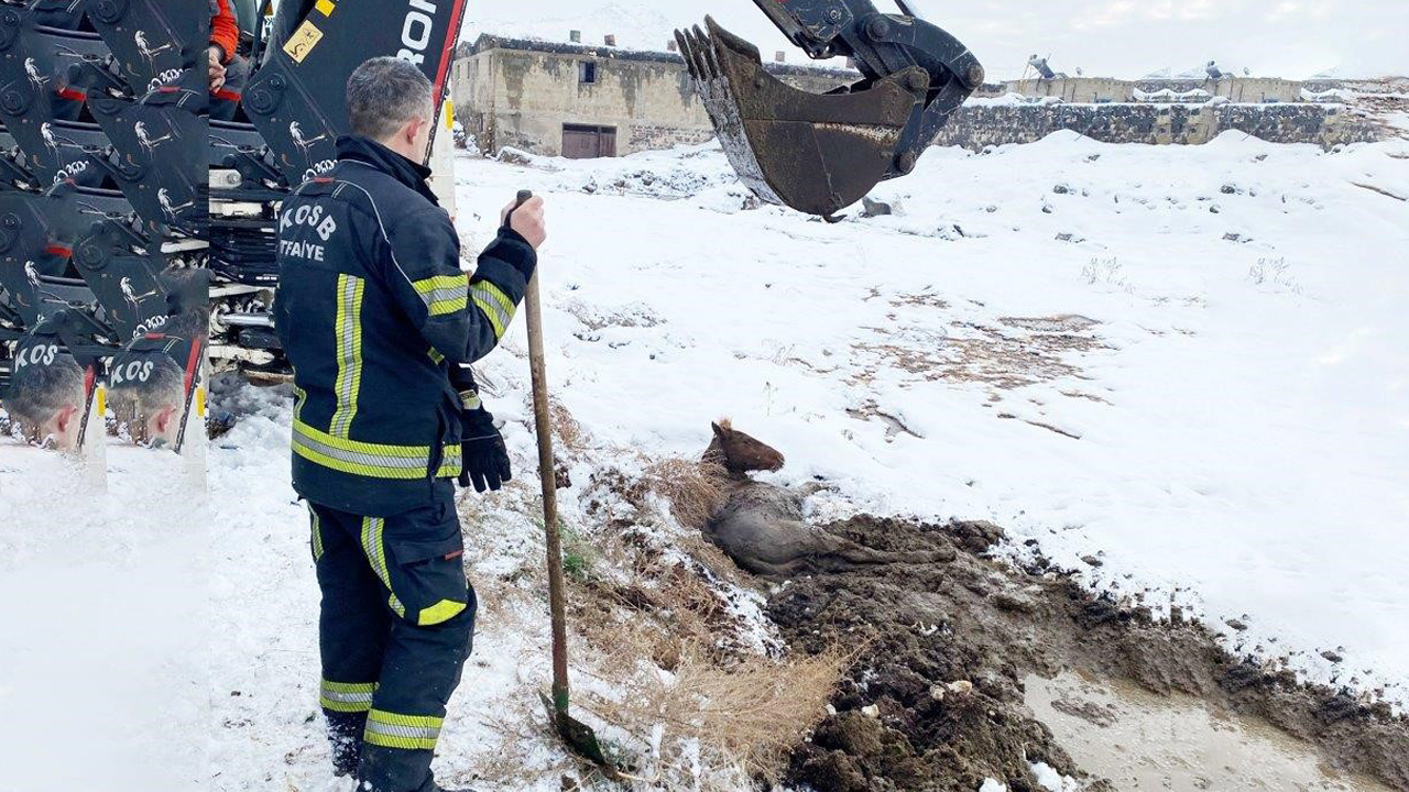 Kayseri OSB İtfaiyesi bataklığa saplanan yılkı atını kurtardı!