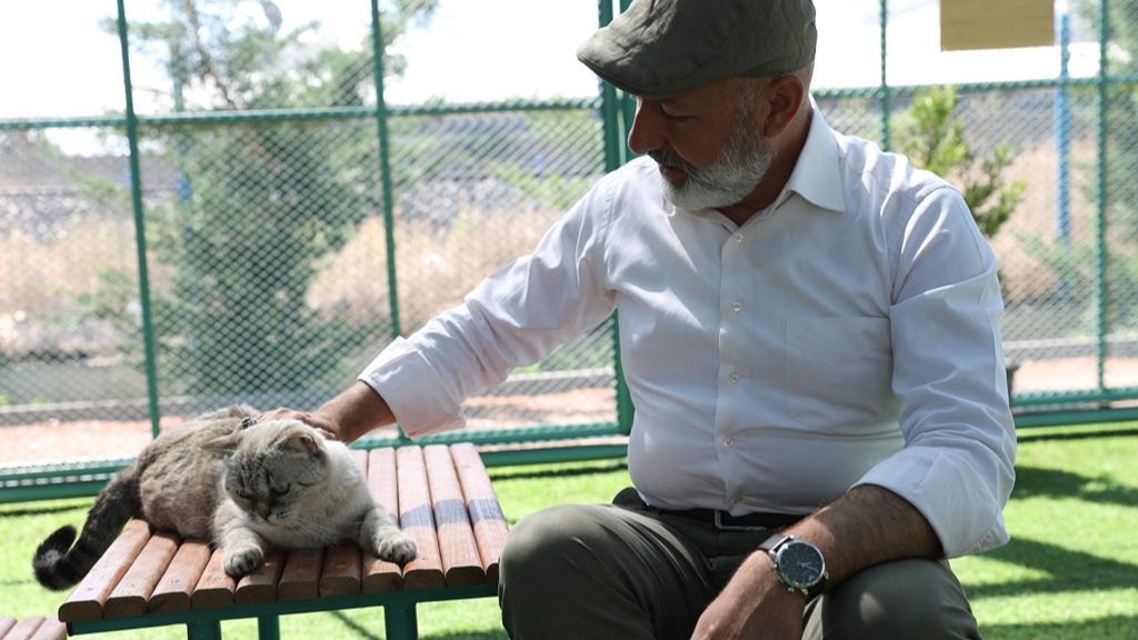 Kayseri’de İlk Olan Küçük Dostlar Kedi Kasabası’na Rekor Ziyaretçi İlgi Gösterdi!