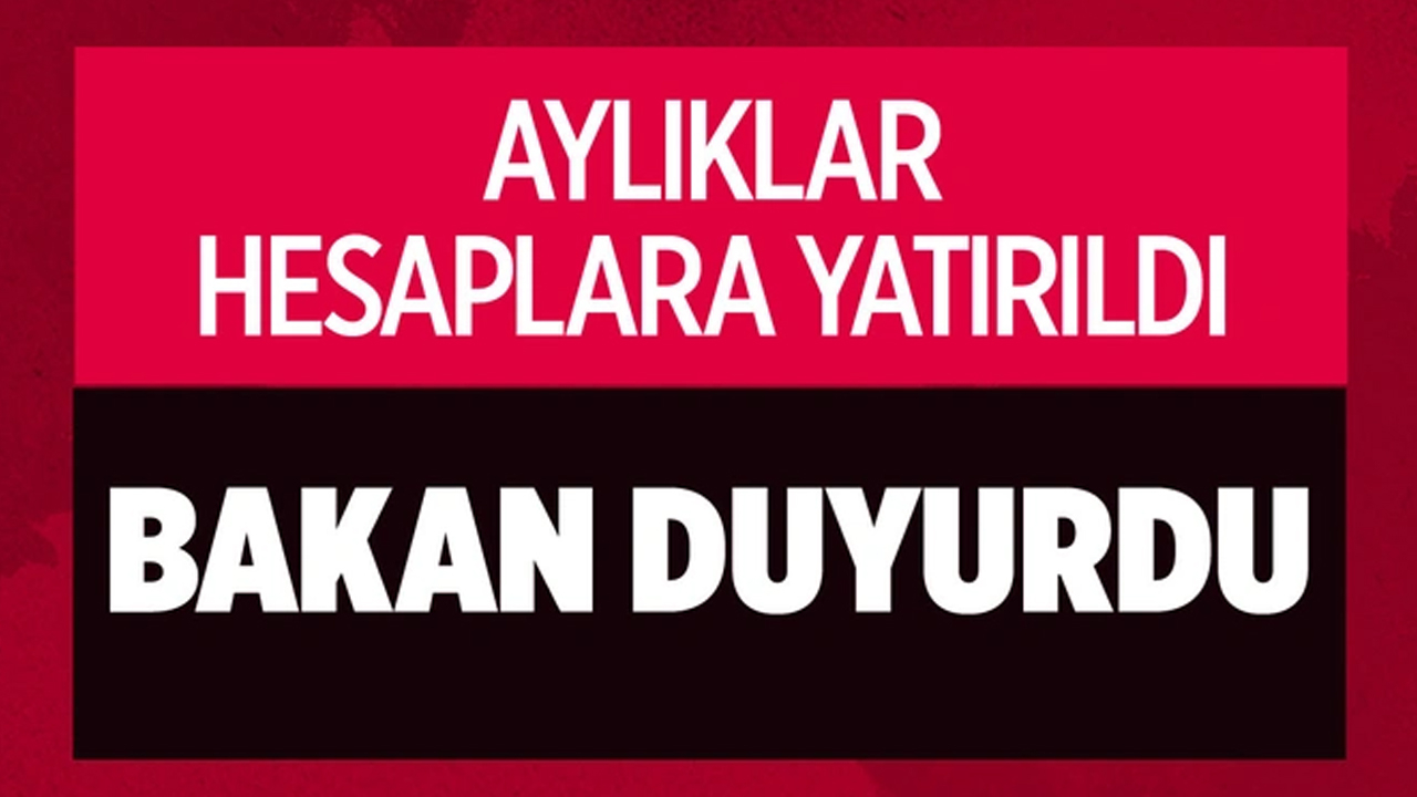 Mart ayı yaşlı ve engelli aylıkları hesaplara yatırıldı!