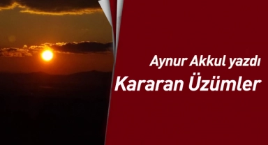 Kararan Üzümler